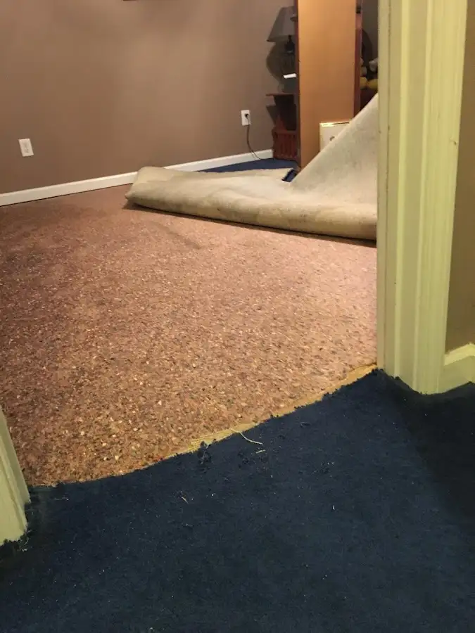 Carpet pad removal revealing water damage during Drying & Dehumidification in Johnston