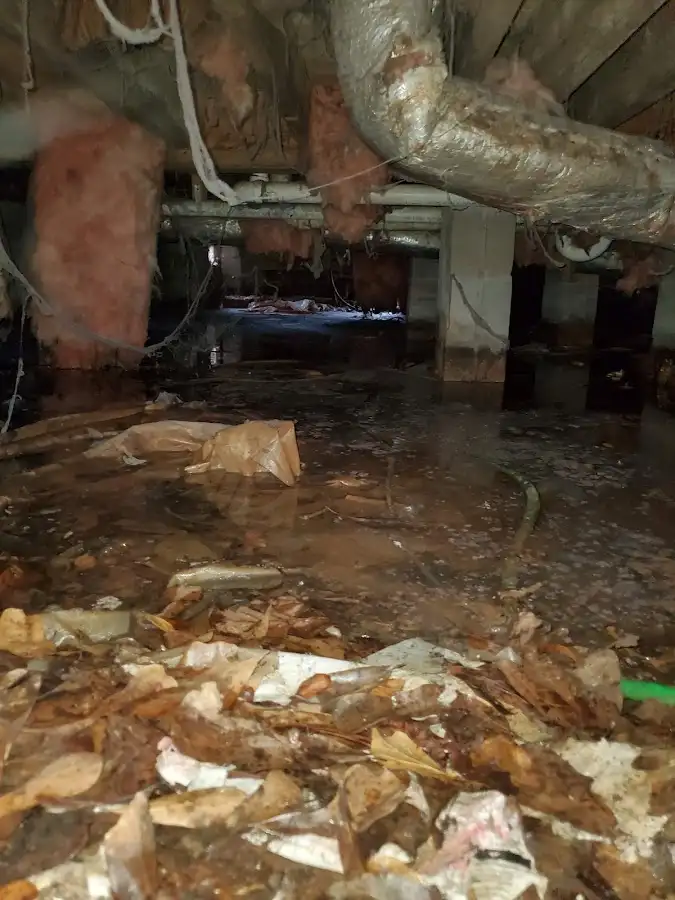 Crawl space flood assessment for Leak Detection & Repair in Johnston